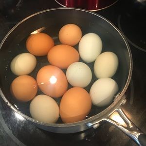 Meet your Posher, Kristina